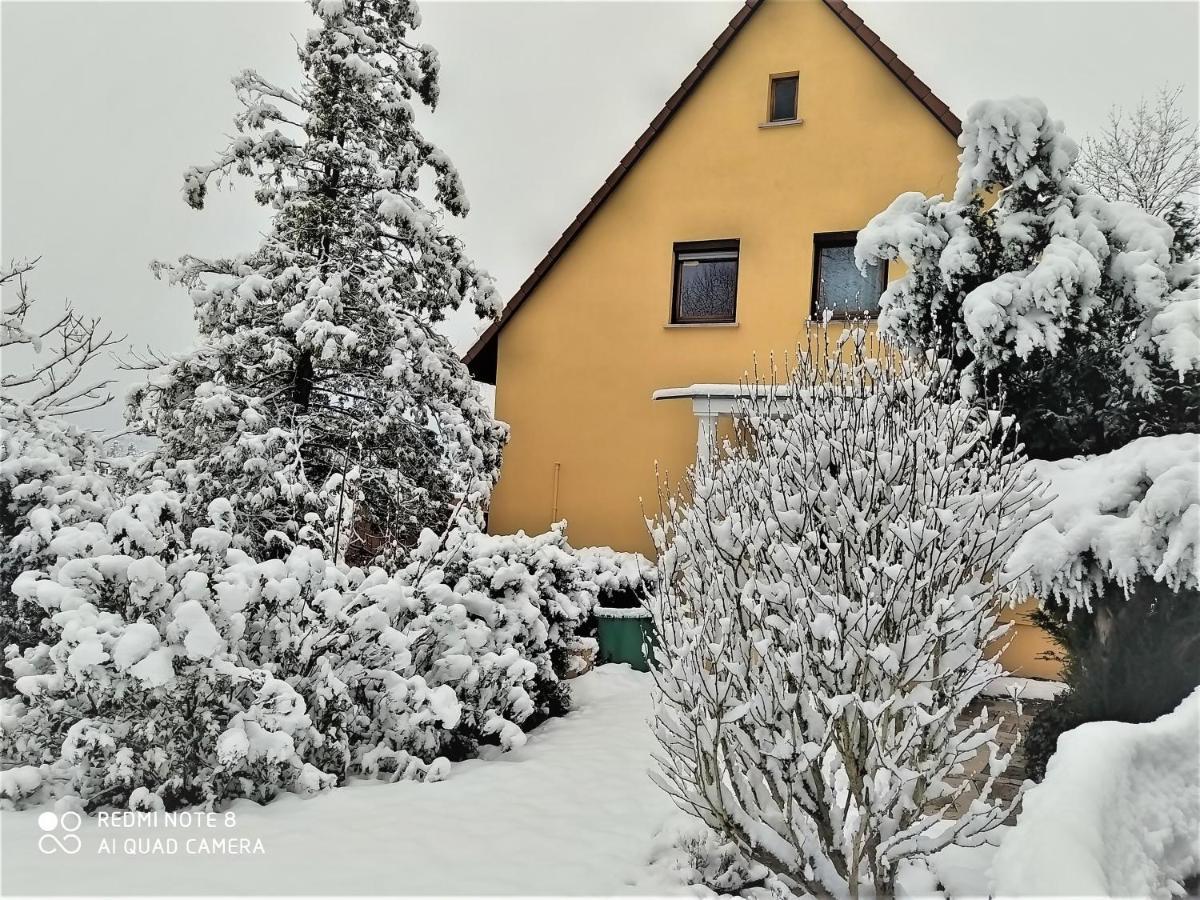 Mediterran-Skandinavisch - Outdoorwhirlpool Ganzjaehrig Burgthann ภายนอก รูปภาพ